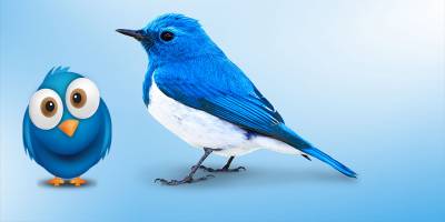 Twitter, çifte standartlı 'etiketleme' hamlesini genişletiyor: İran, Türkiye ve Küba dahil 16 ülke daha etiketlenecek