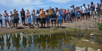 Dikili’de mandıra kirliliği isyanı