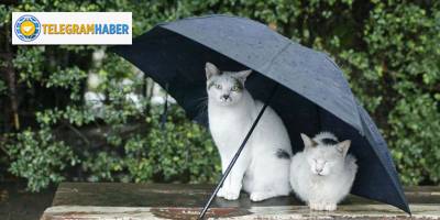 İZMİR'DE HAVA NASIL OLACAK? 5 ŞUBAT PERŞEMBE HAVA DURUMU...