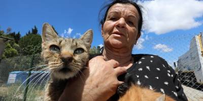 Sokak hayvanlarına adanmış bir ömür