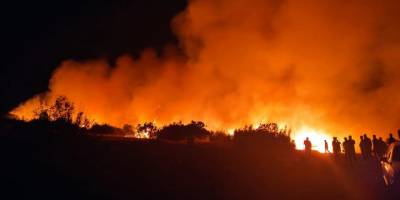 Nizip'te orman yangını