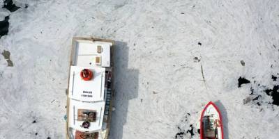 Çevre ve Şehircilik Bakanı Kurum: Müsilaj denetimlerinde 8 işletmeye kapatma cezası uygulandı