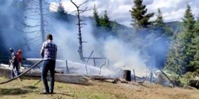 Yangında hayvanları kurtarmak isterken hastanelik oldu