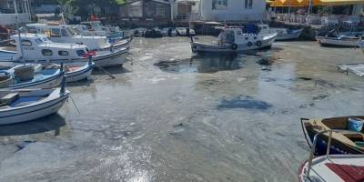 Cennet Bozcaada'yı müsilaj sardı!