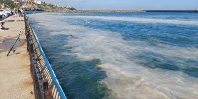 Kabus hızla yayılıyor: Sahilin tamamını kapladı