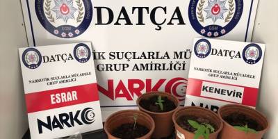 Datça'da uyuşturucu baskını
