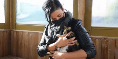 Buca Belediyesi 17 bin kediye kucak açtı