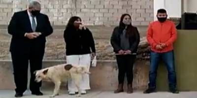 Konuşma yapan belediye başkanının üzerine köpek işedi