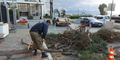 İzmir'de fırtınadan 330 ağaç zarar gördü