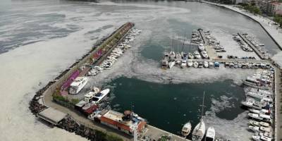 YÖK Marmara'nın müsilaj sorununa çözüm için doktoralı bilim insanlarını burslu yetiştirecek