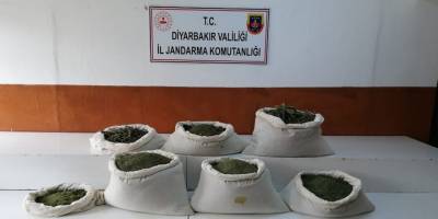 Diyarbakır’da dev uyuşturucu operasyonu: 1 milyon 258 bin kök kenevir ve 1 ton 734 kilo uyuşturucu ele geçirildi