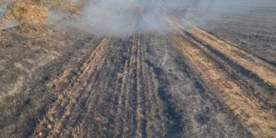 Tarla yangını korkuttu