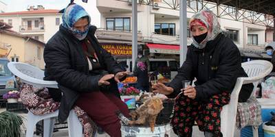 Soğuk, pazarcıları vurdu