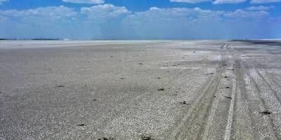 Bakan Pakdemirli: Tuz Gölü'nde bin kadar yavru flamingo öldü, ilk tespitlere göre zehirlenme yok