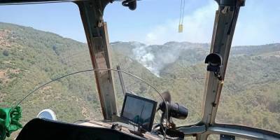 İzmir'de ormanlık alanda yangın