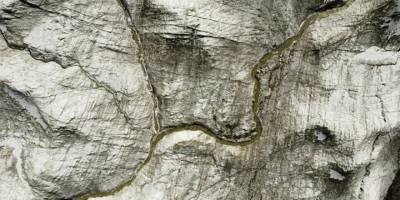 Bilim insanları, Tibet'teki buzullarda 33 virüs keşfetti: 'Küresel ısınma dünyaya yayılmasına neden olabilir'