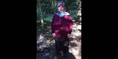 Uludağ'da odun toplamak için ormana giren yaşlı kadın kayboldu