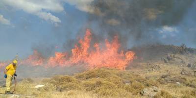 İzmarit yangını 18 dönümlük araziyi küle çevirdi