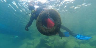 Denizden kanepe de çıktı market arabası da