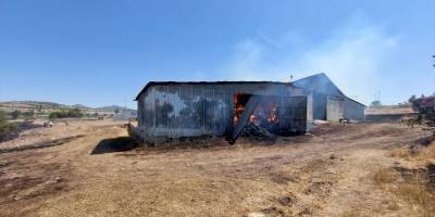 Uşak'ta yangında 55 küçükbaş hayvan telef oldu