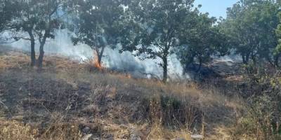 Çanakkale'de orman yangını: 10 hektar alan zarar gördü