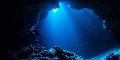 Mariana Çukuru’nun dibinde devasa virüs kümeleri bulundu