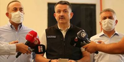 Antalya'da çıkan orman yangınında bir kişi hayatını kaybetti