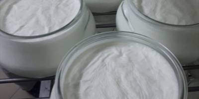 "Afyon manda yoğurdu" coğrafi işaret tescil belgesi aldı