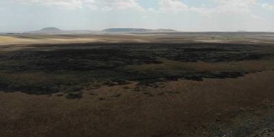 Ne bir damla su ne de kuş kaldı