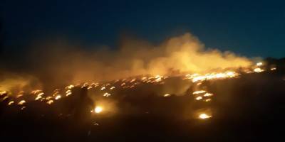 Manisa'nın Soma ilçesindeki ormanlık alanda çıkan yangın kısmen kontrol altında
