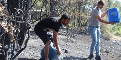 Vatandaşların kazma küreklerle koştuğu orman yangını söndürüldü