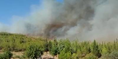 Alevler, Bodrum’un son kalesi Kisebükü’ye ulaştı