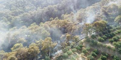 Buharkent’teki orman yangını kontrol altına alındı