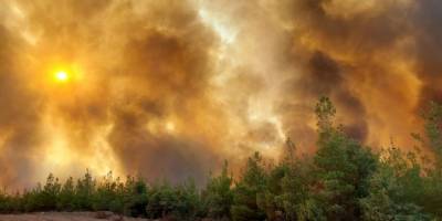 Yangınlarda altıncı gün | Pakdemirli: Antalya, Muğla, Isparta ve Denizli'deki 9 yangınla mücadelemiz devam ediyor