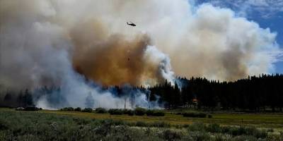 ABD'deki orman yangınlarında New York, Los Angeles ve Chicago kentlerinin toplamı büyüklüğünde alan yandı