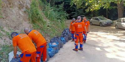 Ormandaki cam şişeleri topladılar