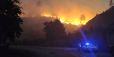 Muğla'nın Menteşe ilçesinde çıkan orman yangınına müdahale ediliyor