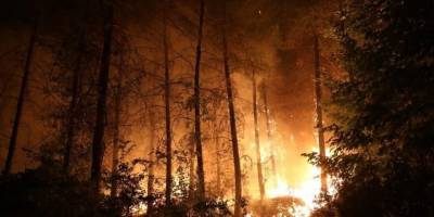 Menteşe’de yangınla mücadele gece boyunca devam etti