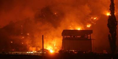 Kemerköy Termik Santrali'nin bahçesine ulaşan yangının ana binaya sıçramaması için uğraş veriliyor