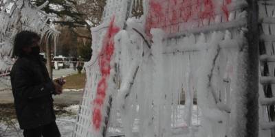 Profesör, kadına şiddeti buzla eleştirdi