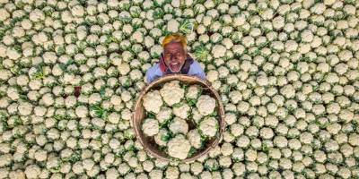 2021 Uluslararası Andrey Stenin Basın Fotoğrafçılığı Yarışması'nın kazananı belli oldu