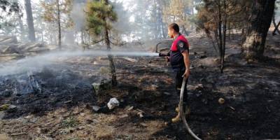 Aydın'daki orman yangınına havadan ve karadan müdahale ediliyor