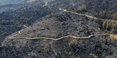 Aydın’daki orman yangınını söndürme çalışmaları sürüyor