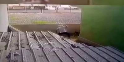 Ataşehir'de gözü dönen saldırgan köpeği sopa ile dövdü