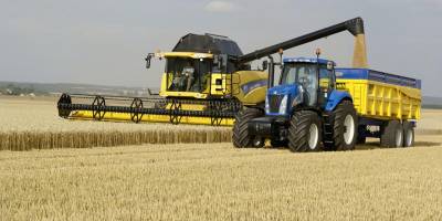 Türkiye, 1.4 milyar nüfuslu Çin'den daha fazla buğday ithal etti