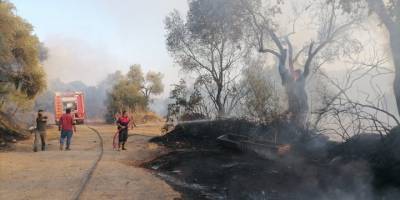 Nazilli'de zeytinlik alanda çıkan yangın kontrol altına alındı