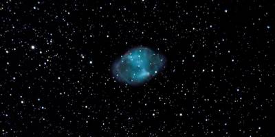 Öğretim görevlisinin uzay ve vahşi yaşam merakı