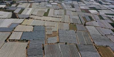 Üzümün merkezi Sarıgöl Ovası "beyaz örtüye" büründü