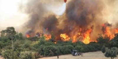 Çanakkale'de orman yangınına havadan müdahale ediliyor