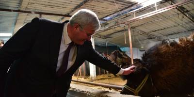 Ukrayna Büyükelçisi Andrii Sybiha, Aydın'da deve çiftliğini ziyaret etti